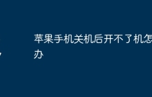 苹果手机关机后开不了机怎么办
