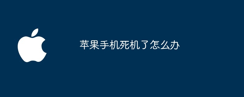 苹果手机死机了怎么办