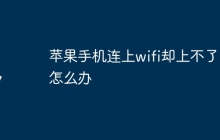苹果手机连上wifi却上不了网怎么办