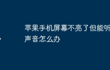 苹果手机屏幕不亮了但能听到声音怎么办