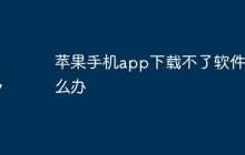 苹果手机app下载不了软件怎么办