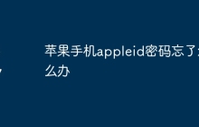 苹果手机appleid密码忘了怎么办