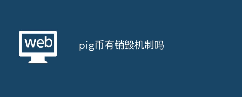 pig币有销毁机制吗