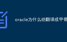 oracle为什么给翻译成甲骨文