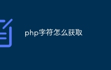 php字符怎么获取