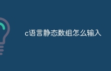 c语言静态数组怎么输入