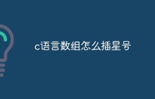 c语言数组怎么插星号