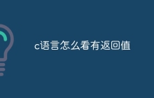 c语言怎么看有返回值