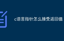 c语言指针怎么接受返回值