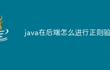 java在后端怎么进行正则验证