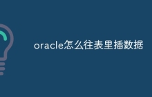 oracle怎么往表里插数据