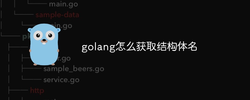 golang怎么获取结构体名