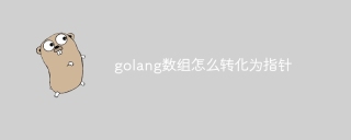 golang数组怎么转化为指针