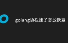 golang协程挂了怎么恢复
