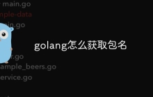 golang怎么获取包名