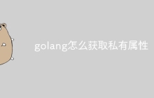 golang怎么获取私有属性