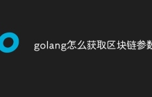 golang怎么获取区块链参数