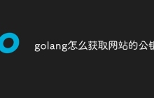 golang怎么获取网站的公钥