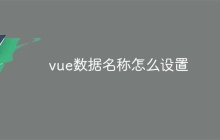 vue数据名称怎么设置