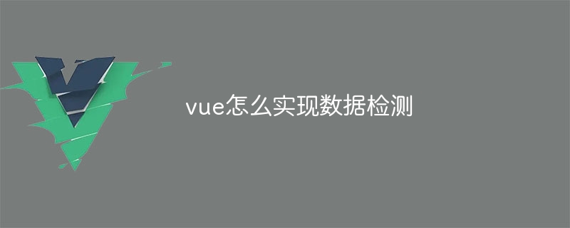vue怎么实现数据检测