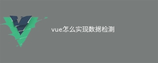 vue怎么实现数据检测