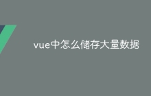 vue中怎么储存大量数据