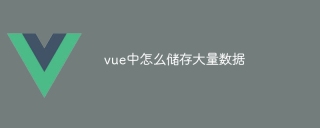 vue中怎么储存大量数据