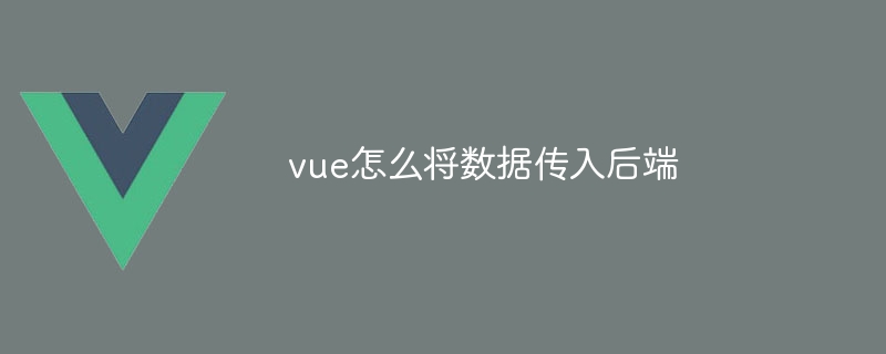 vue怎么将数据传入后端
