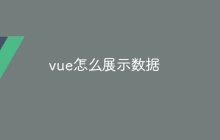 vue怎么展示数据