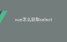vue怎么获取select