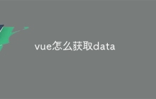 vue怎么获取data