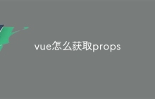 vue怎么获取props