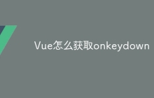 Vue怎么获取onkeydown
