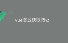 vue怎么获取网址