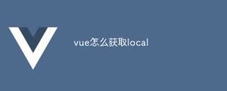 vue怎么获取local