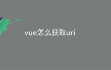 vue怎么获取uri