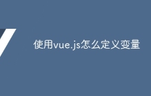 使用vue.js怎么定义变量