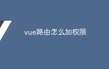 vue路由怎么加权限