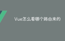 Vue怎么看哪个路由来的