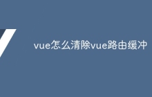 vue怎么清除vue路由缓冲