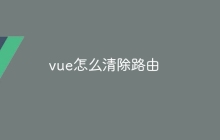 vue怎么清除路由