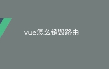 vue怎么销毁路由
