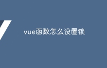 vue函数怎么设置锁