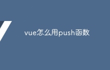 vue怎么用push函数
