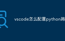 vscode怎么配置python路径