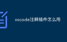 vscode注释插件怎么用