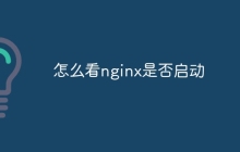 怎么看nginx是否启动