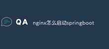 How to start springboot in nginx