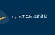 nginx怎么启动后台包