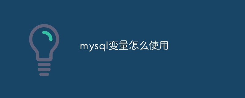 mysql变量怎么使用